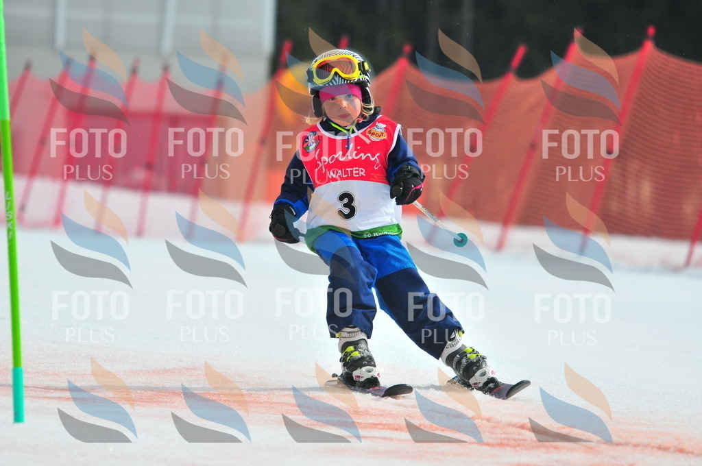 C0726 | holidayphoto