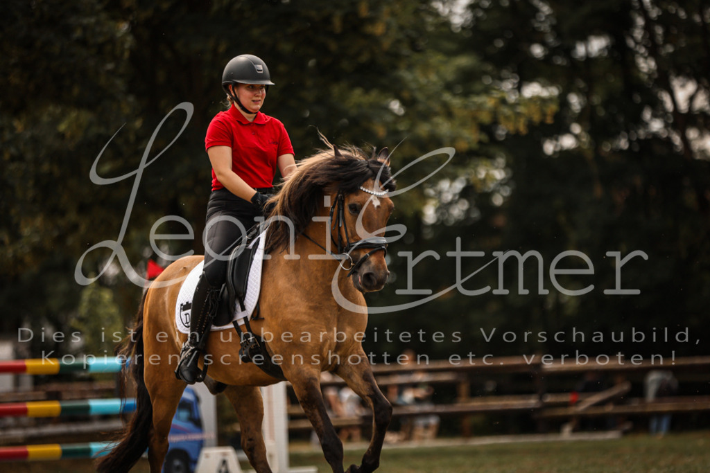 SoShow00076 | Leoni Ertmer Photography - Realisiert mit Pictrs.com