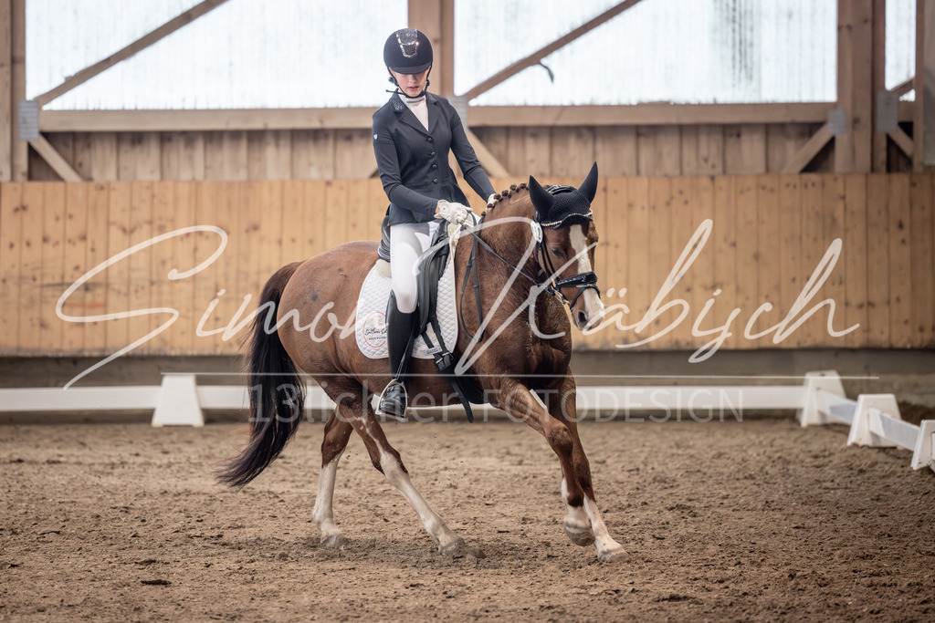 20251011-_3LI0578 | Tierfotografie Pferde, Hunde, Katzen, Haustiere.
Turnierfotografie Reitturniere, Reiten, Springreiten, Dressur in Hanau, dem Main-Kinzig-Kreis und dem Rhein-Main- Gebiet um Frankfurt