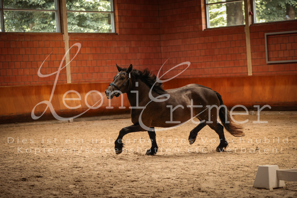 SaFL00388 | Leoni Ertmer Photography - Realisiert mit Pictrs.com