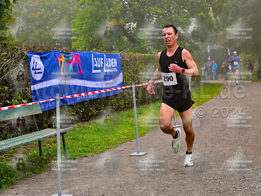 Z8N_1169 | la-psv - Realisiert mit Pictrs.com