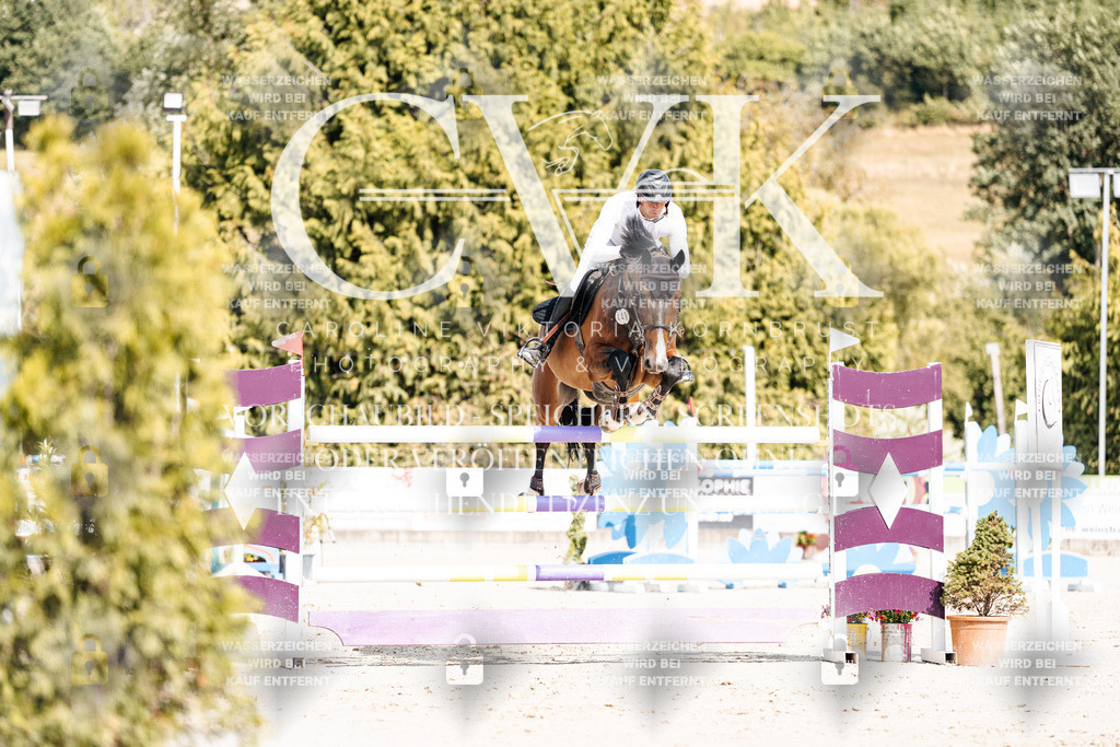 CK908938 | Turnierfotografie Pferdefotografie Trier Rheinland-Pfalz Pferdesport Reitsport Tierfotografie Sportfotografie Pferdevideo Pferdevideografie Equestrianvideography equestrianphotography  - Realisiert mit Pictrs.com