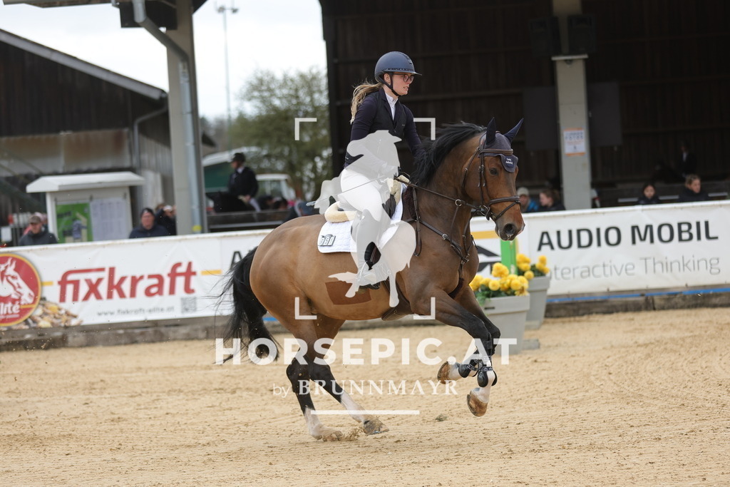 0P6A2806 | Willkommen bei Brunnmayr - Design & Fotografie – Ihrem Spezialisten für Reitturniere und Pferdeveranstaltungen in Oberösterreich, Salzburg und Bayern! Seit über 17 Jahren sind wir leidenschaftlich dabei.