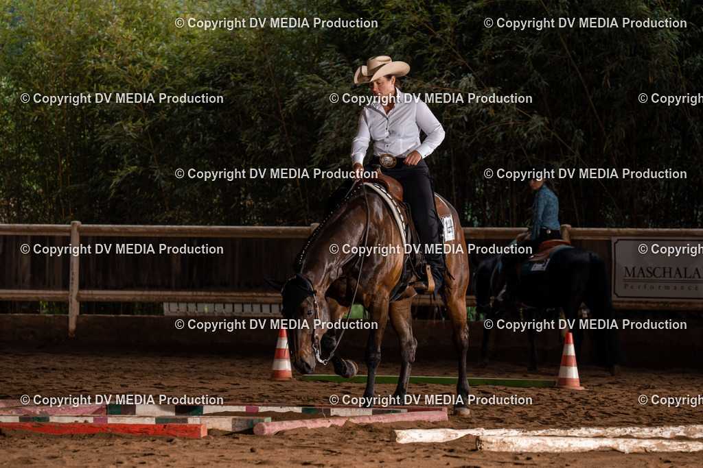 Erbach Tag 3-213 | dv-media-shop - Realisiert mit Pictrs.com