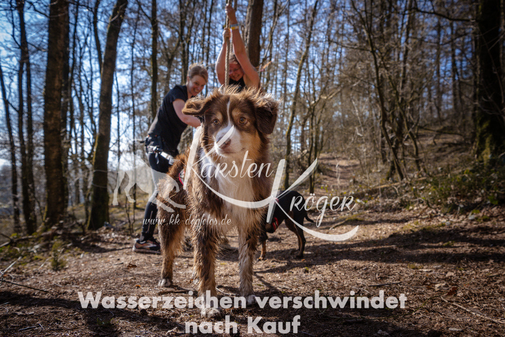 1128_ZZ98349 | kk-dogfotos