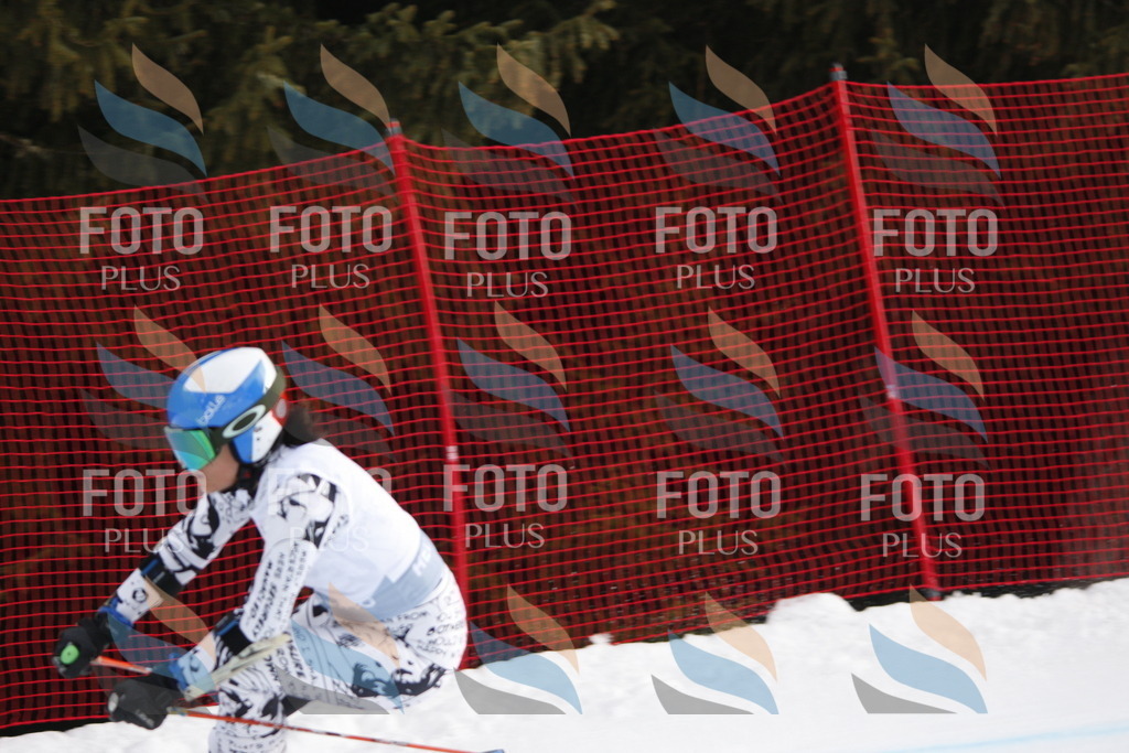 D4699 | holidayphoto