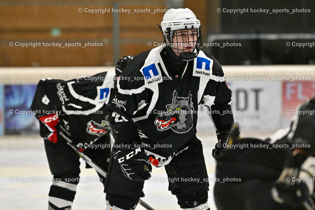 EC Tigers Paternion vs. Tarco Wölfe II | #25 Slamanig Paul Tarco Wölfe II, EC Tigers Paternion vs. Tarco Wölfe II, EC Tigers Paternion vs. Tarco Wölfe II am 19.12.2024 in Spittal an der Drau (Eissportzentrum Spittal), Austria, (Photo by Bernd Stefan)