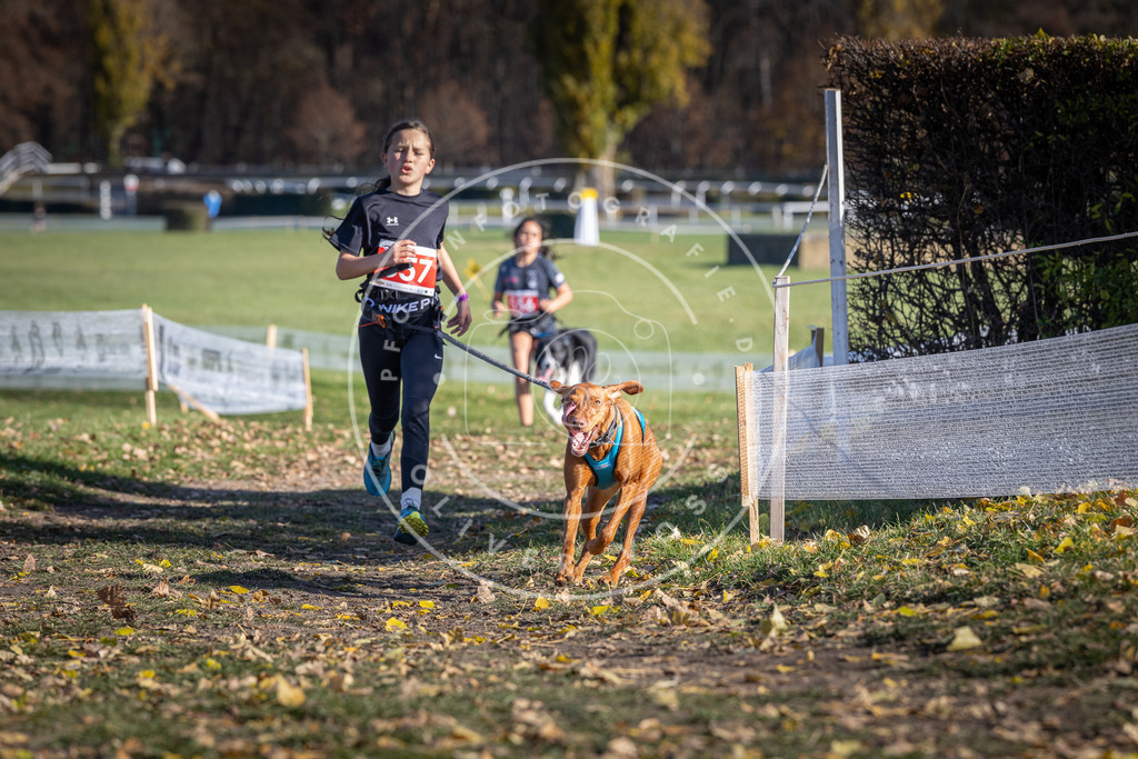 CaniXpix_DV3A8578 | Hundefotografie, Tierfotograf, Pfotenfotografie, Fotoshooting Hund, Hunde Portrait, Hundesport, Hundeportraits, Heideshooting, Hunde, Sportfotograf, Hundefotograf, Turnierhundsport, THS,  - Realisiert mit Pictrs.com