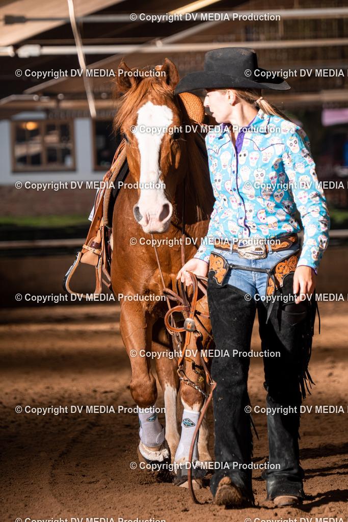 Erbach Tag 2-1014 | dv-media-shop - Realisiert mit Pictrs.com