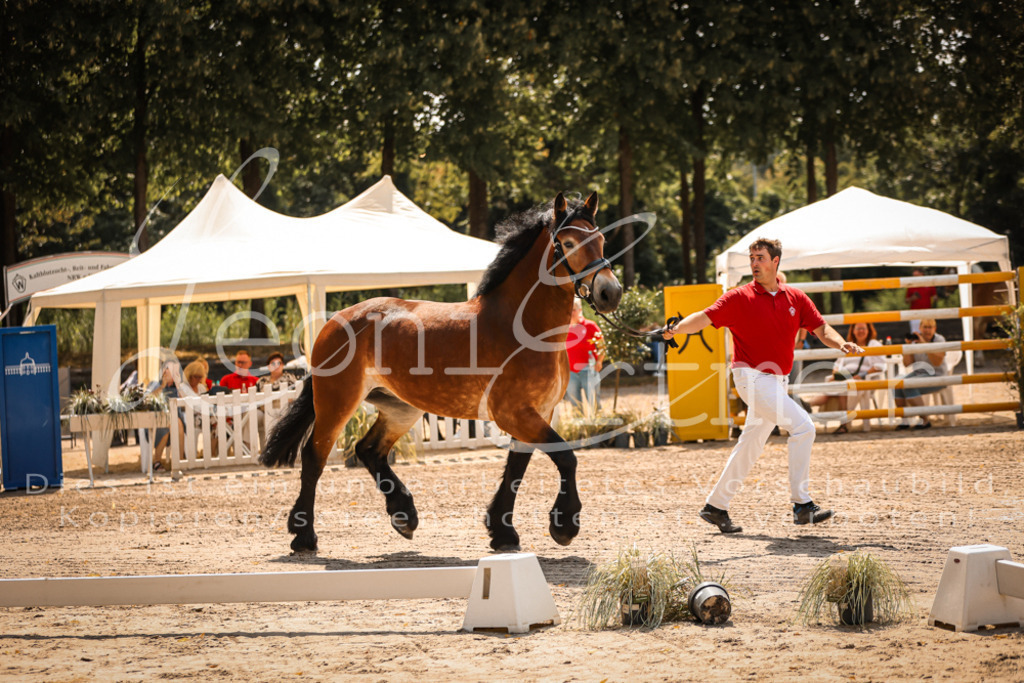 1.Sa00025 | Leoni Ertmer Photography - Realisiert mit Pictrs.com