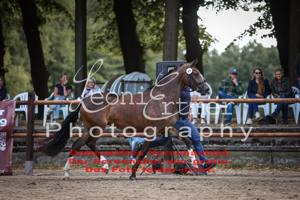 SoER00038 | Leoni Ertmer Photography - Realisiert mit Pictrs.com