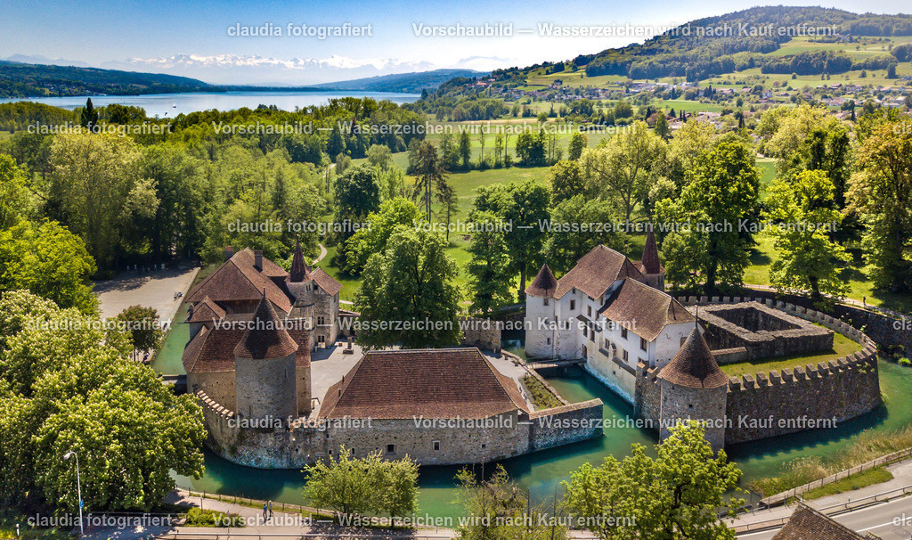 54_Wasserschloss_Hallwyl | 06.05.2020; Inland; Hallwyl - 
Drohnenbilder - Luftbilder;
Schloss Hallwyl am Hallwilersee umgeben vom Aabach
(Claudia Minder/claudia-fotografiert)