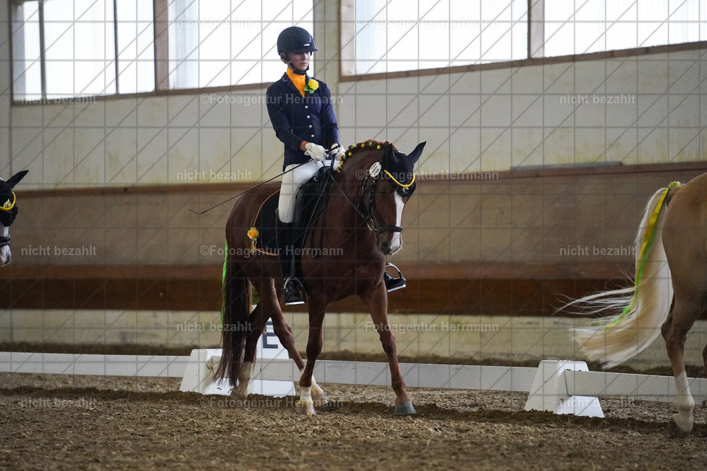 20240825-FAH08958 | Turnierbilder, Reitsportfotos, LAPO, Landesponyturnier, Turnierfotografen Bayern