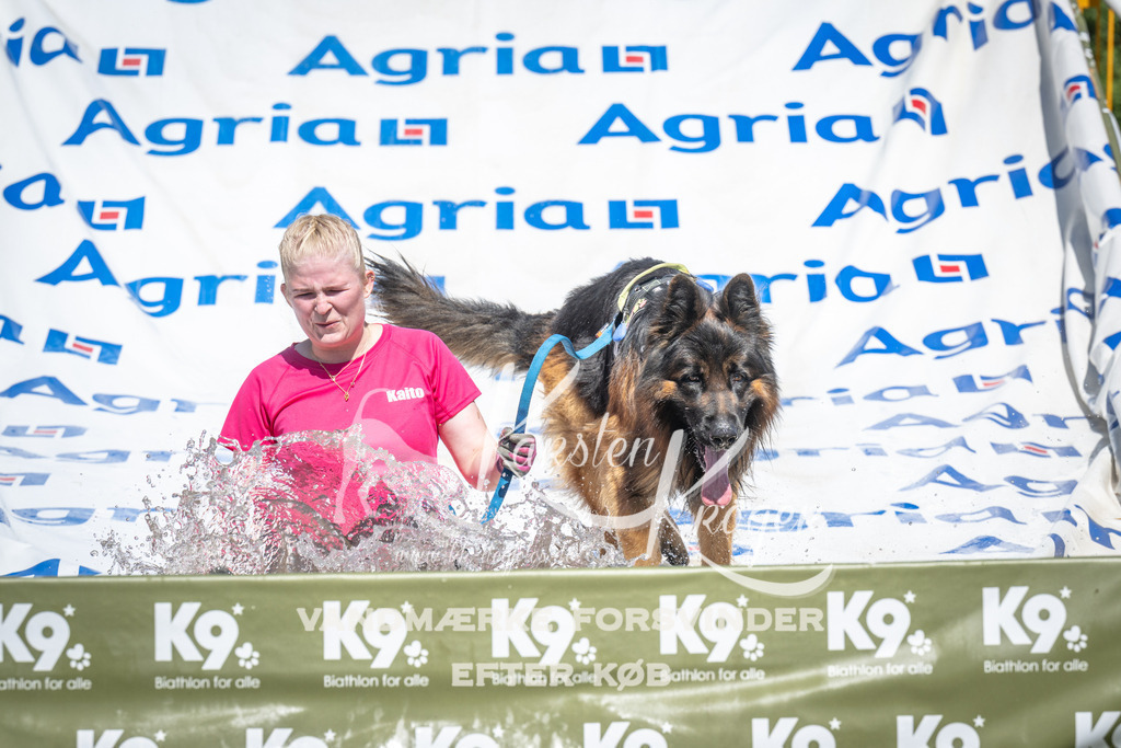 1430_ZZ94450 | kk-dogfotos