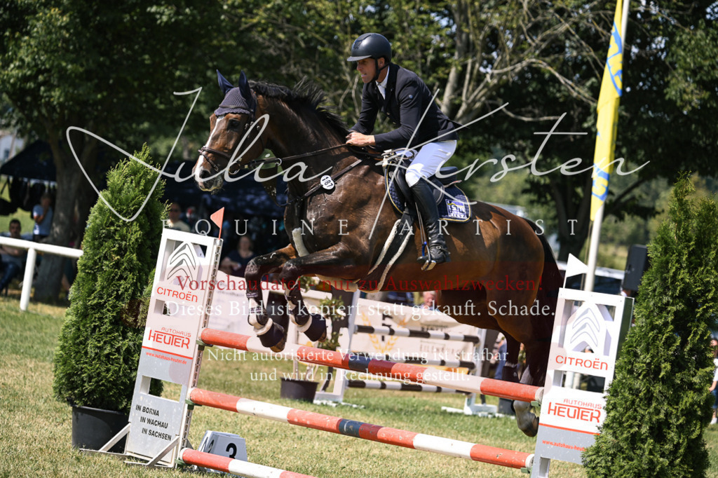 DSC_0274 | Pferde- und Turnierfotografie in Westsachsen. Pferdeportraits, Auftragszeichnungen und intuitive Kunst.