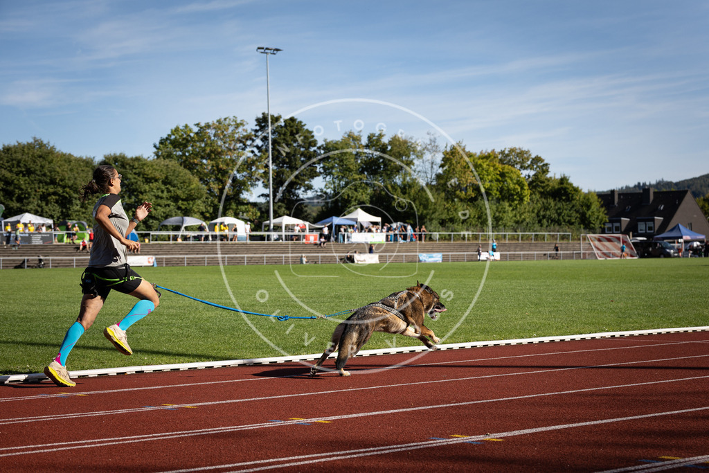 Pfotenfotografie_DV3A8454 | Hundefotografie, Tierfotograf, Pfotenfotografie, Fotoshooting Hund, Hunde Portrait, Hundesport, Hundeportraits, Heideshooting, Hunde, Sportfotograf, Hundefotograf, Turnierhundsport, THS,  - Realisiert mit Pictrs.com
