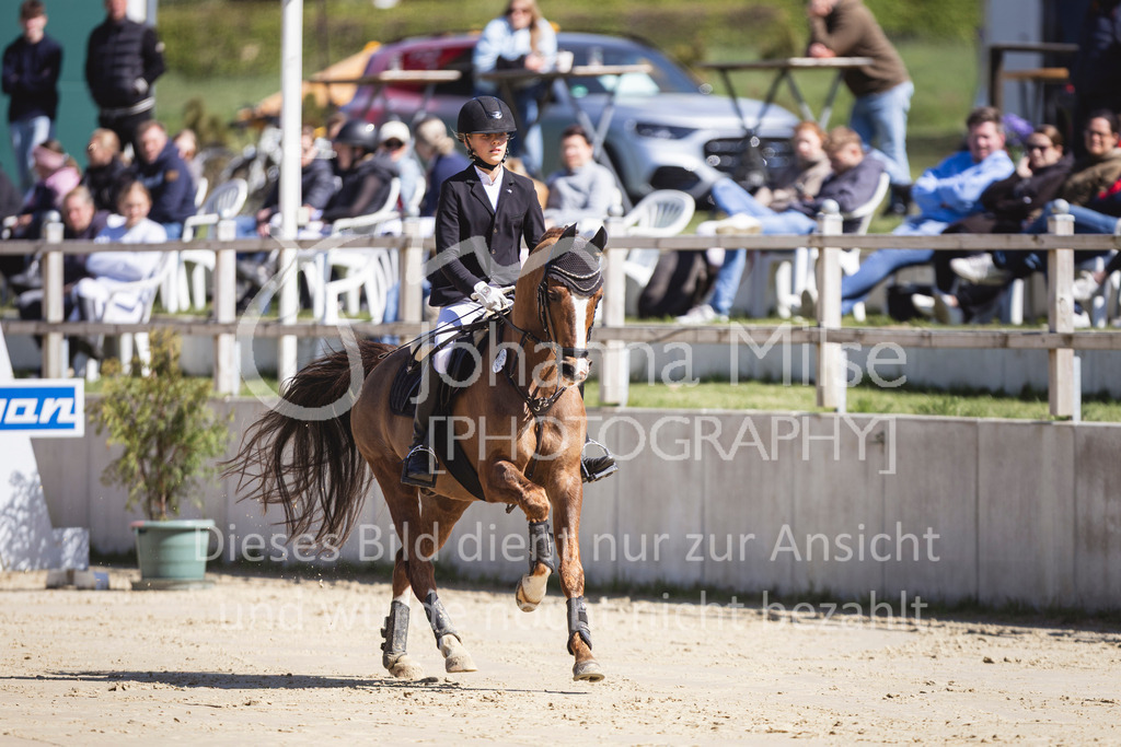 260425_Spenge_3_Stil-WB-335 | Deine schönsten Turniermomente als professionelle Fotos! Entdecke hochwertige Pferdesport-Fotografie im Online-Shop. Jetzt Fotos finden & bestellen!