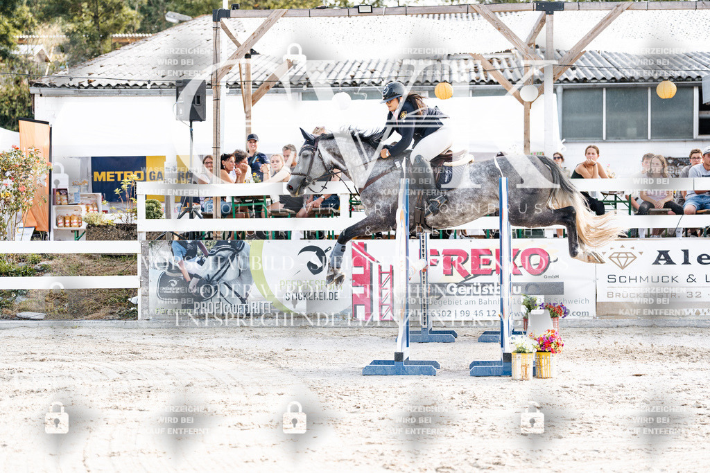 CK906237 | Turnierfotografie Pferdefotografie Trier Rheinland-Pfalz Pferdesport Reitsport Tierfotografie Sportfotografie Pferdevideo Pferdevideografie Equestrianvideography equestrianphotography  - Realisiert mit Pictrs.com