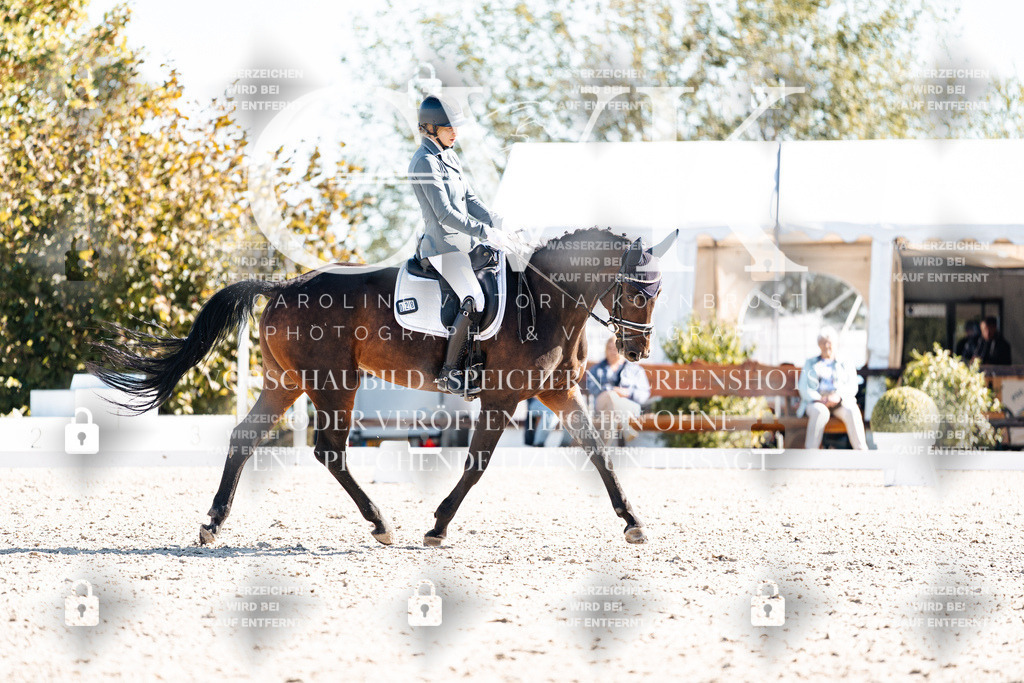 CK908781 | Turnierfotografie Pferdefotografie Trier Rheinland-Pfalz Pferdesport Reitsport Tierfotografie Sportfotografie Pferdevideo Pferdevideografie Equestrianvideography equestrianphotography  - Realisiert mit Pictrs.com