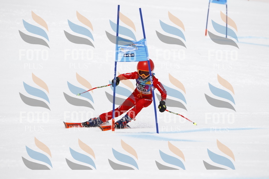 _U3G7214 | holidayphoto