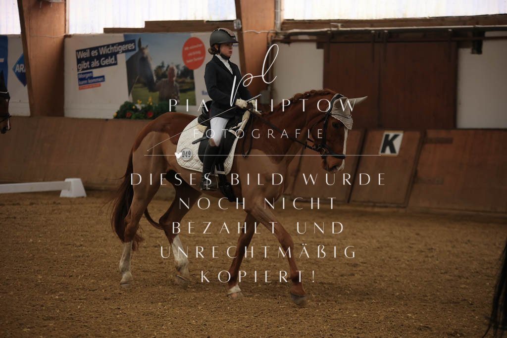 IMGT9904 | pl-fotografie