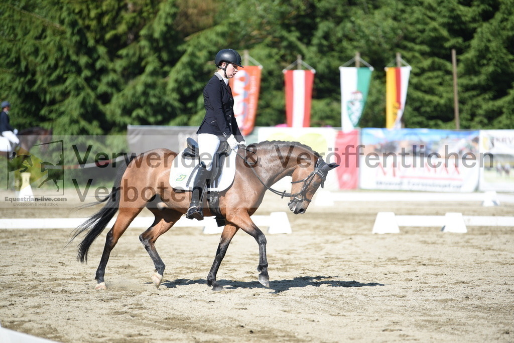 DSC_7654 | equestrian-live-com