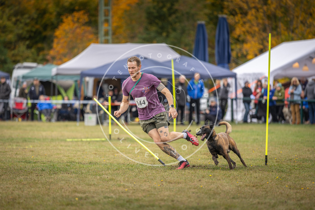 Pfotenfotografie_DV3A8076 | Hundefotografie, Tierfotograf, Pfotenfotografie, Fotoshooting Hund, Hunde Portrait, Hundesport, Hundeportraits, Heideshooting, Hunde, Sportfotograf, Hundefotograf, Turnierhundsport, THS,  - Realisiert mit Pictrs.com