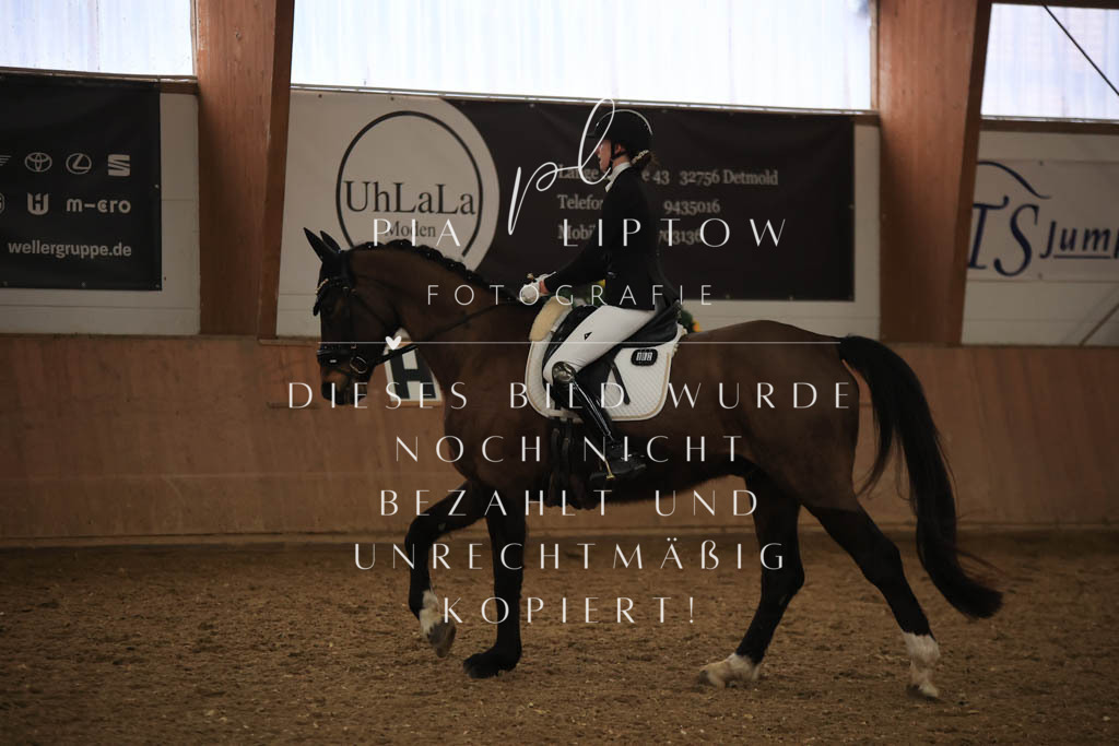 IMGT9317 | pl-fotografie