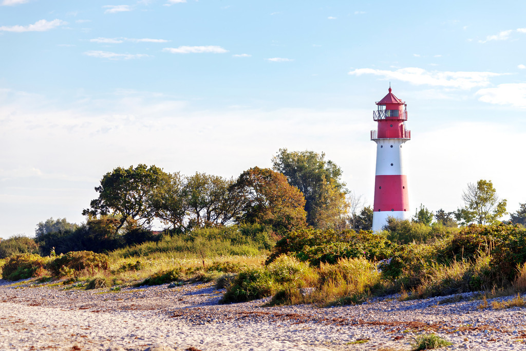 Wandbild: Leuchtturm am Strand in Falshöft | Dieses Wandbild im Querformat zeigt den Leuchtturm in Falshöft am Sandstrand im Herbst. Der Leuchtturm steht inmitten von Bäumen, Büschen und Gräsern. Am blauen Himmel befinden sich nur einige Schleierwolken.  - Realisiert mit Pictrs.com