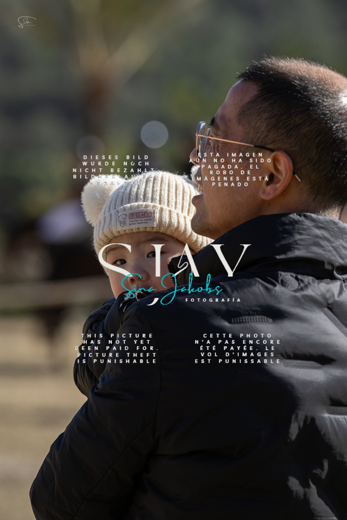 IMG_6211 | s-jay-photography - Realisiert mit Pictrs.com