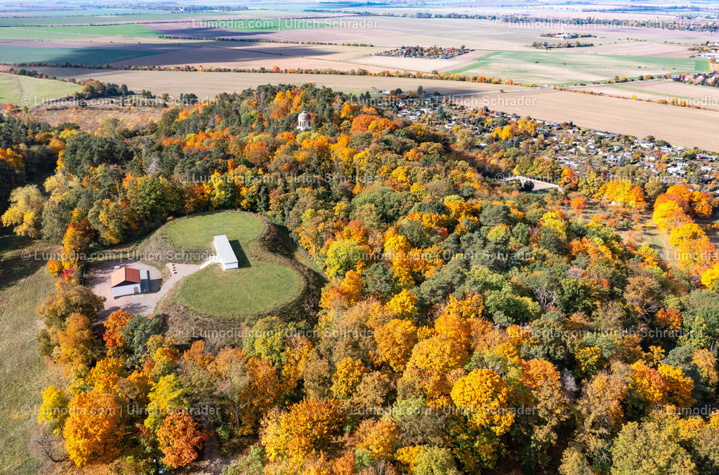 10049-52149 - Herbststimmung in den Spiegelsbergen | Stockfoto und Bilderpool mit Bildmaterial aus Deutschland, dem Harz, Halberstadt, Quedlinburg, Wernigerode und weltweit. Qualitativ hochwertige und professionelle Fotos anschauen und kaufen. - Realisiert mit Pictrs.com