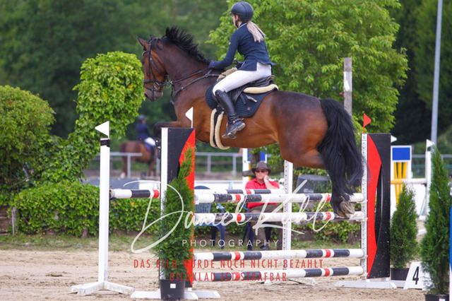 DKP42028 | Turniersportfotografie; Pferdefotografie; Dressurfotografie