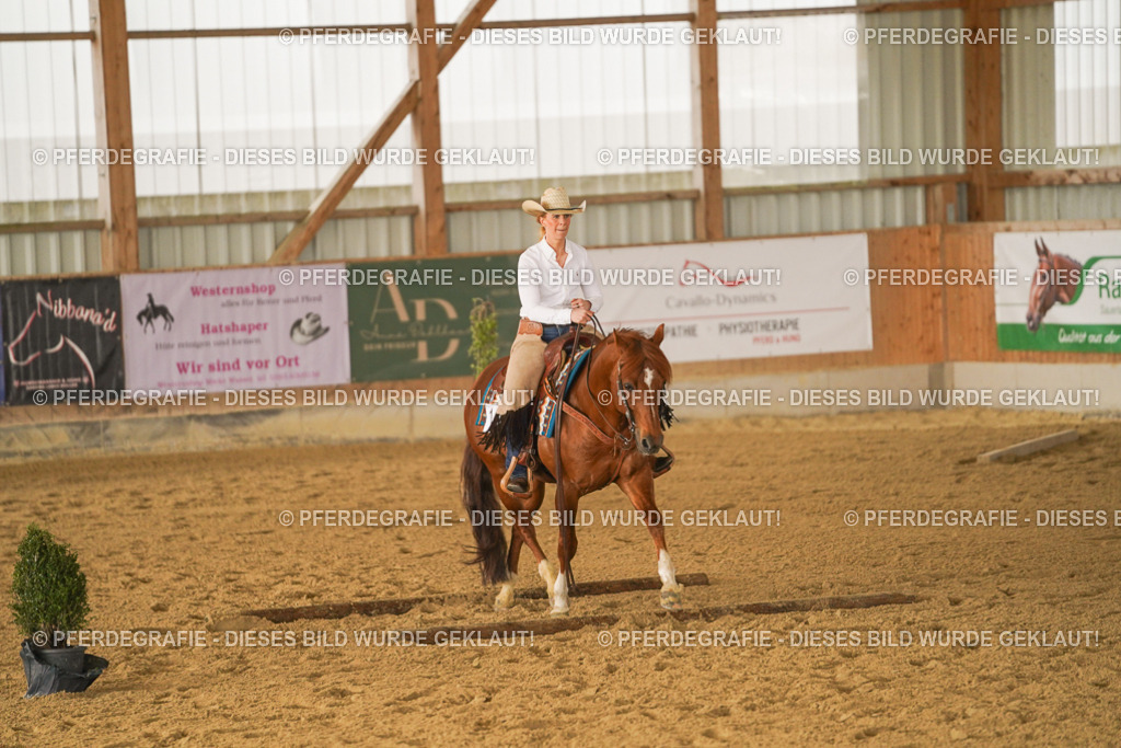 DSC02472 | Pferdegrafie