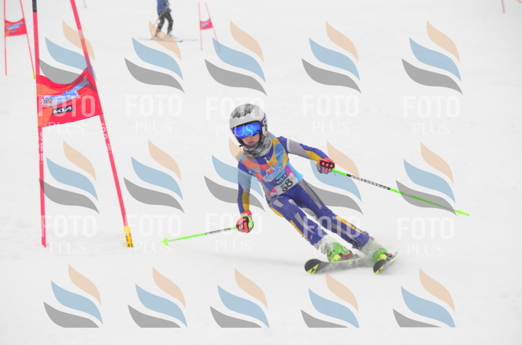 C1019 | holidayphoto