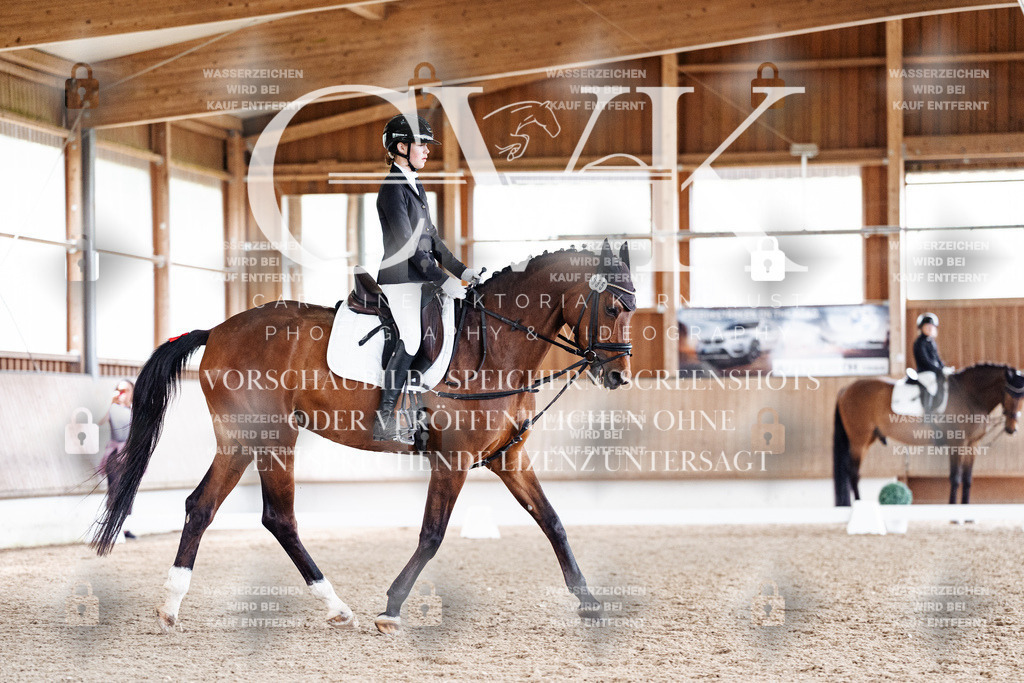 CK900699 | Turnierfotografie Pferdefotografie Trier Rheinland-Pfalz Pferdesport Reitsport Tierfotografie Sportfotografie Pferdevideo Pferdevideografie Equestrianvideography equestrianphotography  - Realisiert mit Pictrs.com