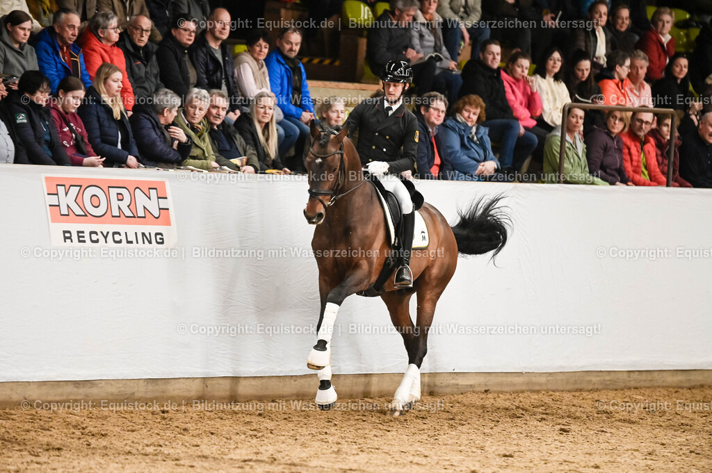 20260307_Hengstvorstellung-Marbach_0370 | equistock