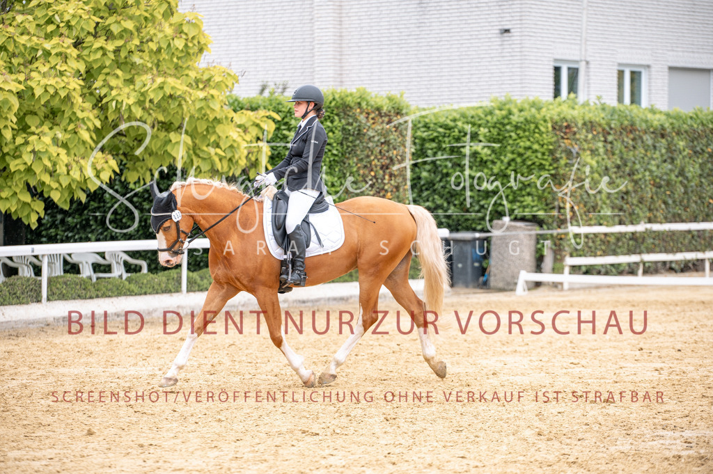 Schugtsche-Aluta25-41.Amat-Dressurprf.A_-416 | Schugtsche Fotografie - Realisiert mit Pictrs.com