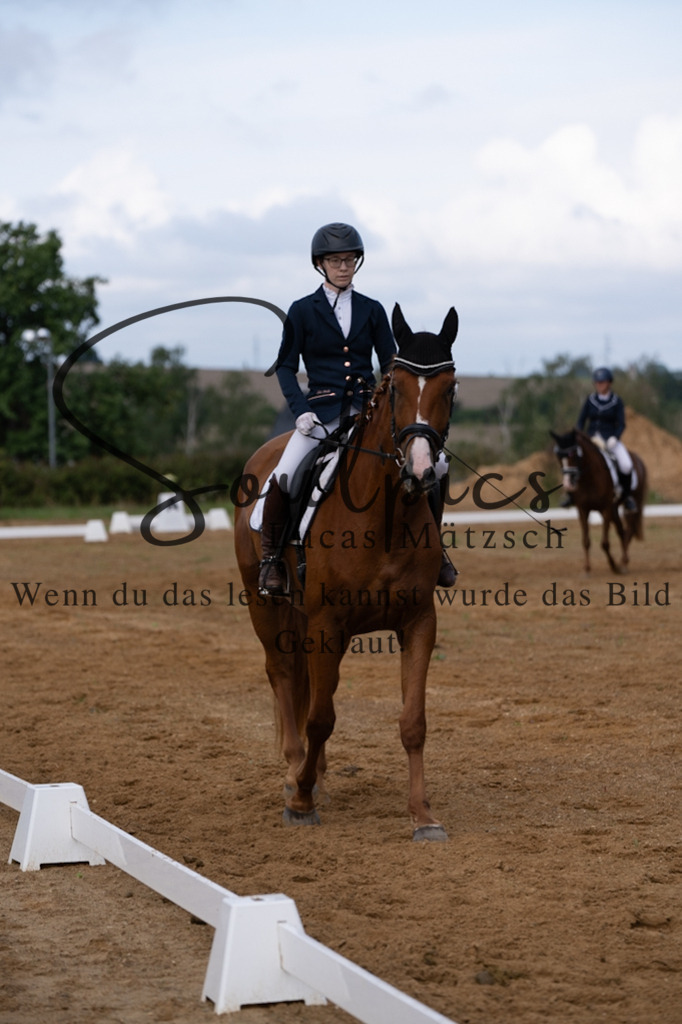 A7V03799 | Turnier/Reitfotograf