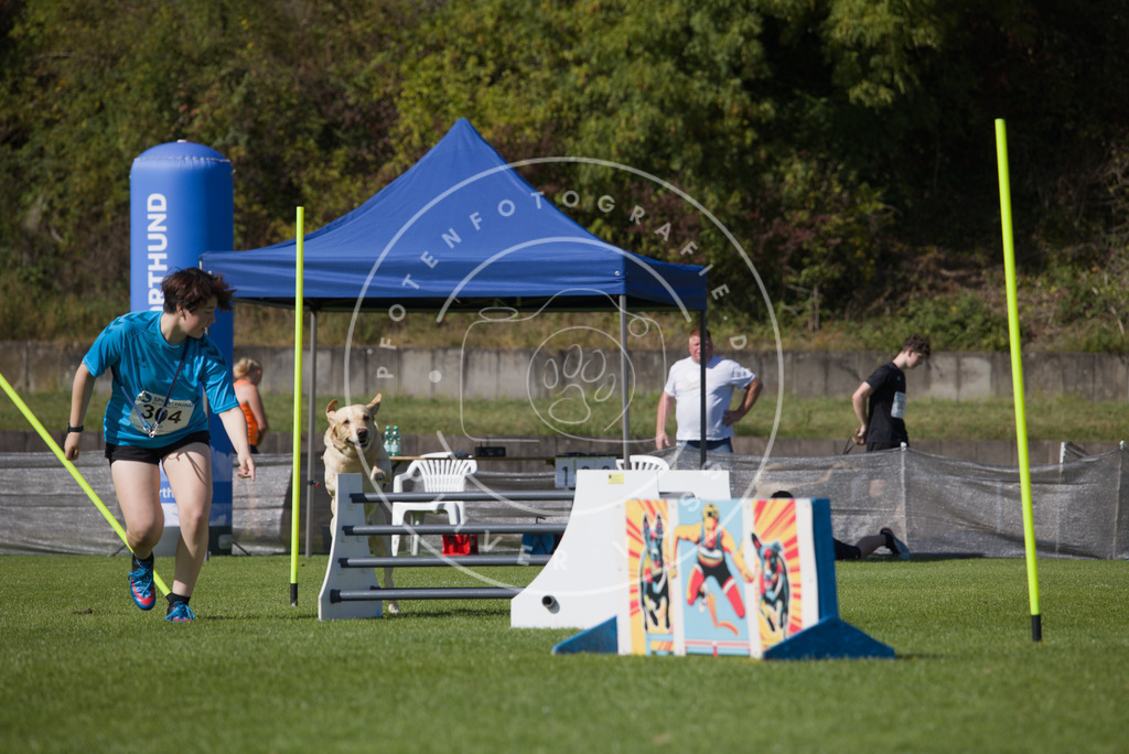 0L8A7610 | Hundefotografie, Tierfotograf, Pfotenfotografie, Fotoshooting Hund, Hunde Portrait, Hundesport, Hundeportraits, Heideshooting, Hunde, Sportfotograf, Hundefotograf, Turnierhundsport, THS,  - Realisiert mit Pictrs.com