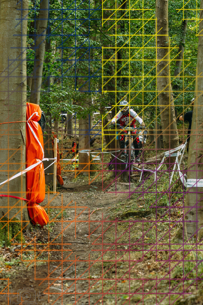 PAE-0374 | Einzigartige Fotokunst für dein Zuhause: Entdecke hochwertige Wandbilder, edle Prints und emotionale Motive von Wildlife, Natur und Landschaften - Realisiert mit Pictrs.com