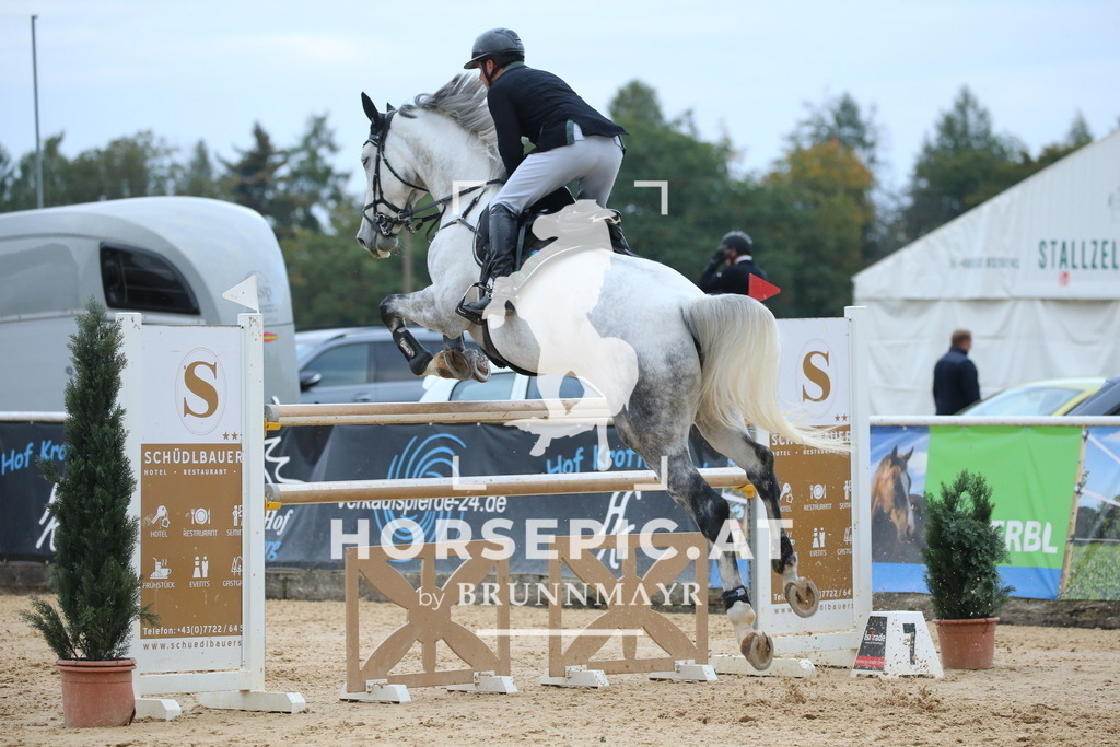 DL2Q6223 | Willkommen bei Brunnmayr - Design & Fotografie – Ihrem Spezialisten für Reitturniere und Pferdeveranstaltungen in Oberösterreich, Salzburg und Bayern! Seit über 17 Jahren sind wir leidenschaftlich dabei.