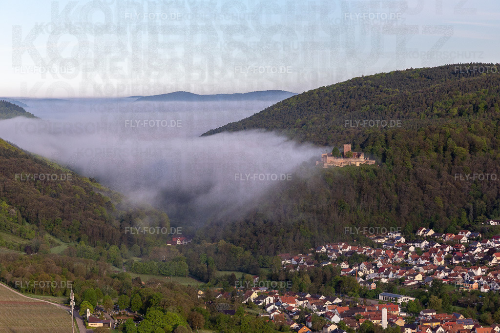 Burg Landeck im Morgennebel | Luftbild: Burg Landeck im Morgennebel in Klingenmünster im Bundesland Rheinland-Pfalz in Deutschland. Foto: IMG_113749.jpg vom 29.04.2019 durch Werner Riehm/FLY-FOTO.de - Realisiert mit Pictrs.com