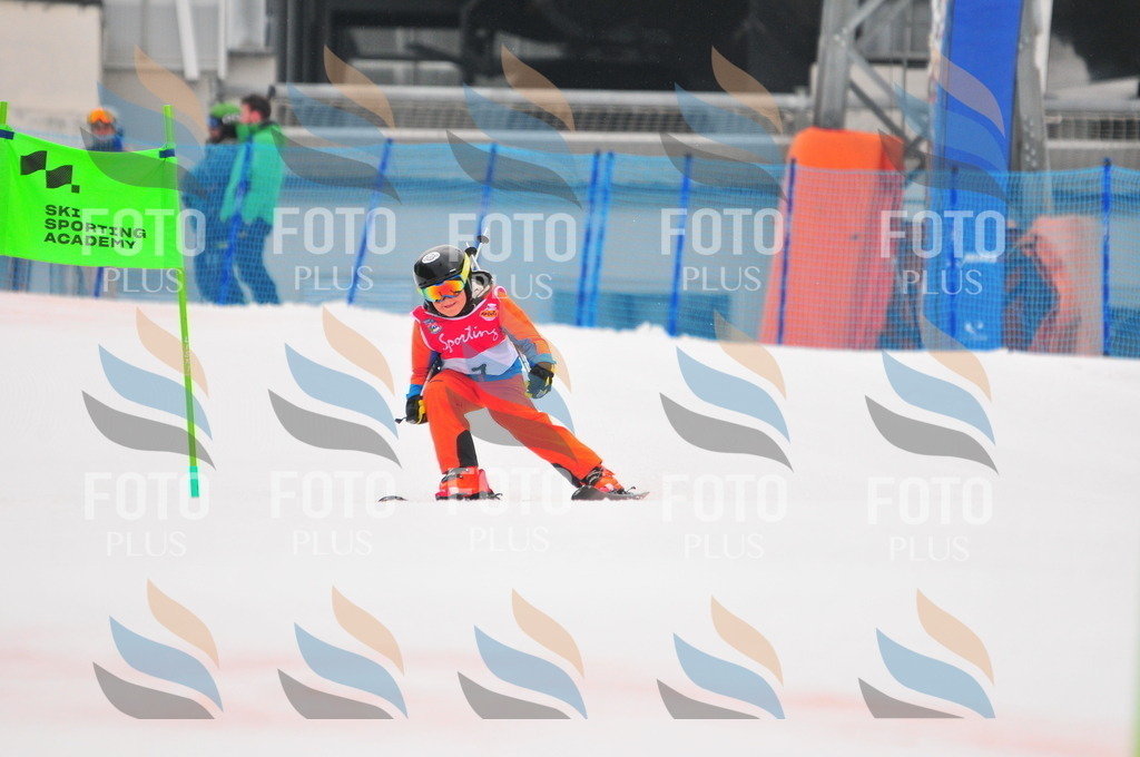 C0438 | holidayphoto