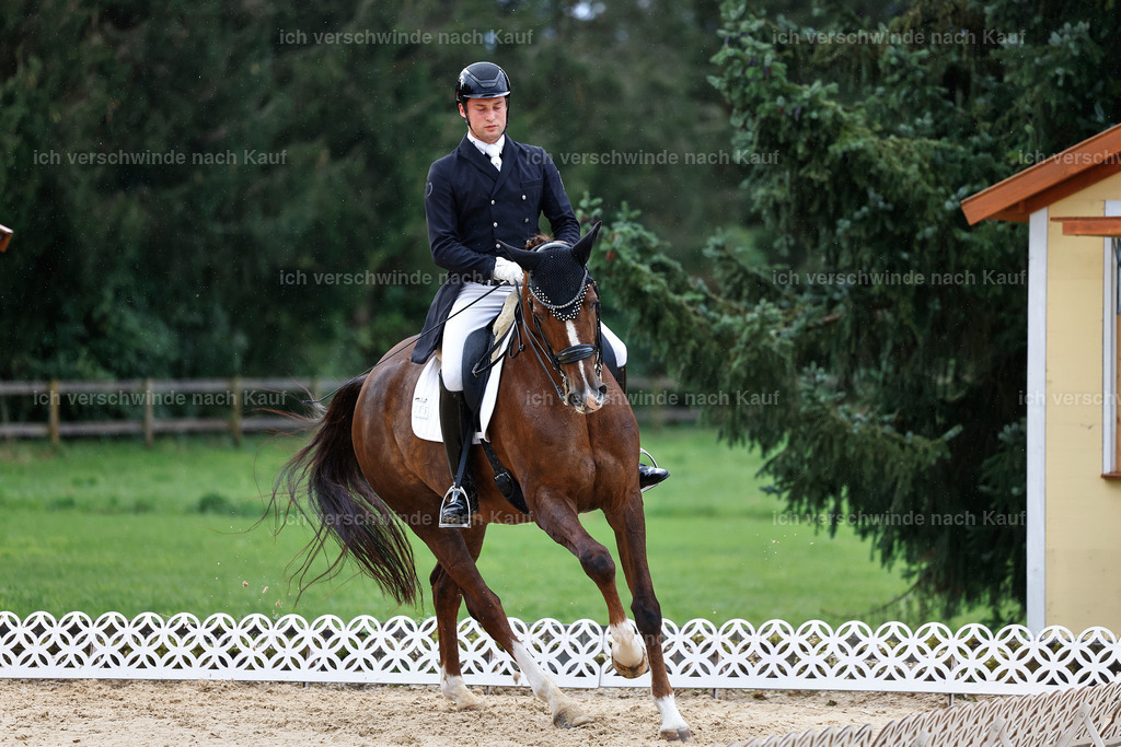 10-015-ST.GEORG SPECIAL -StoibPH-3211 | working equitationturnier fotograf videograf stoibphotography marixx film working equitation deutschland reitsport turnierfotografie eventfotografie equestrian events