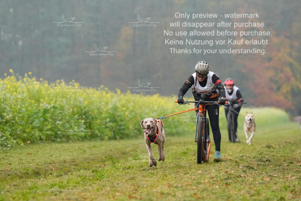 Visbeck_Sa_Scooter_Hc-58 | stephaniefillaphotographie - Realisiert mit Pictrs.com