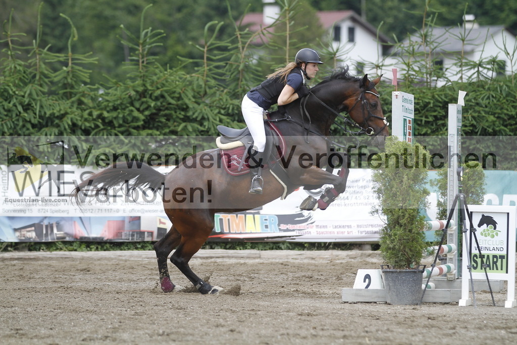 _MG_5273 | equestrian-live-com