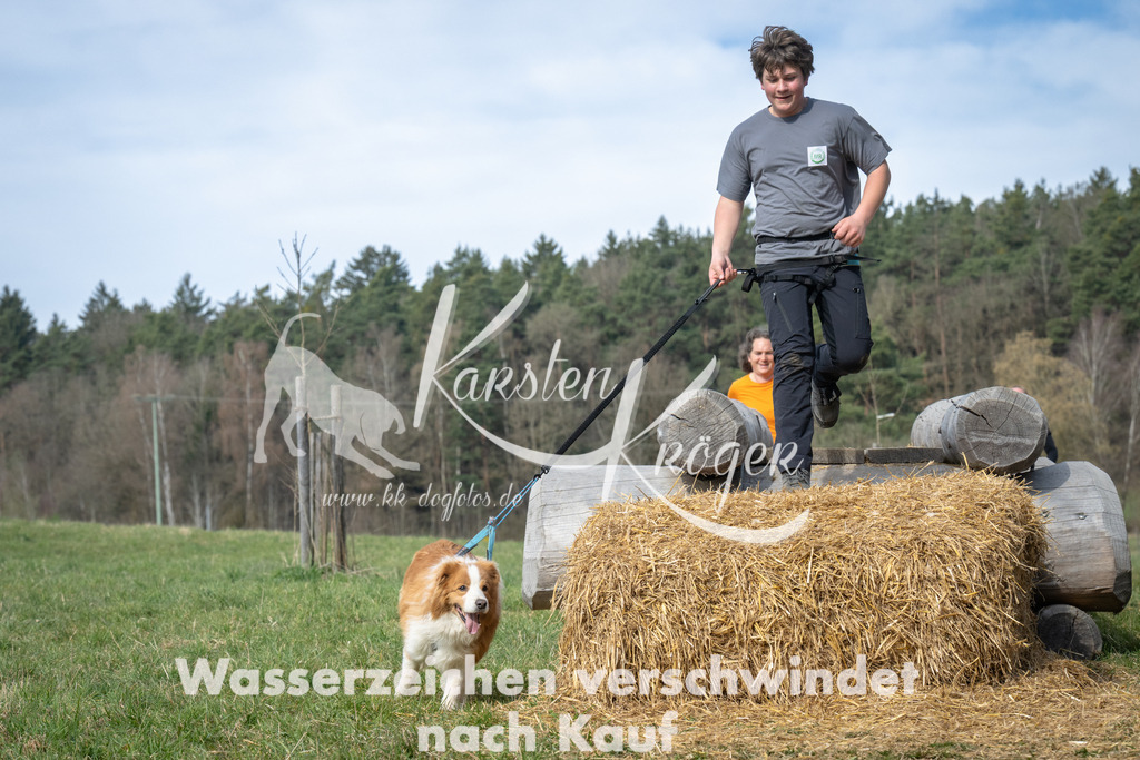 1034_ZZ92770 | kk-dogfotos