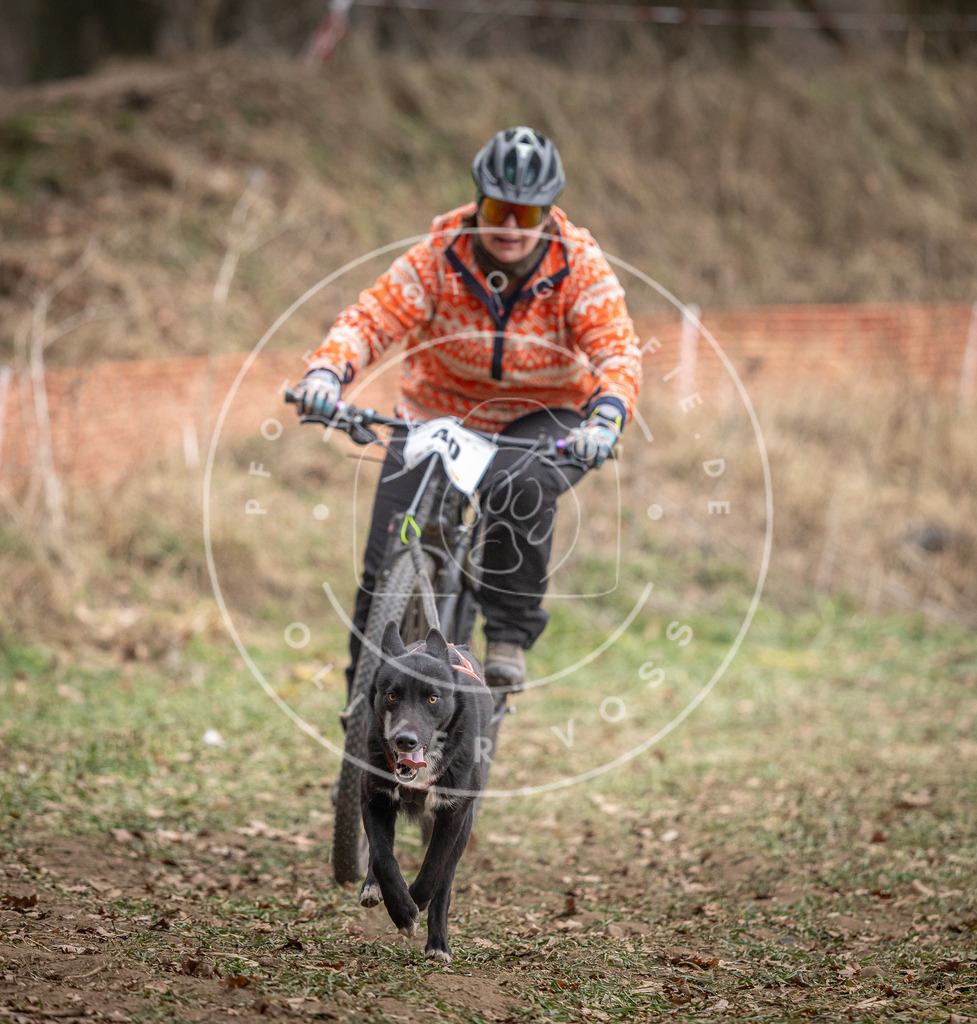 Pfotenfotografie_DV3A5997 | Hundefotografie, Tierfotograf, Pfotenfotografie, Fotoshooting Hund, Hunde Portrait, Hundesport, Hundeportraits, Heideshooting, Hunde, Sportfotograf, Hundefotograf, Turnierhundsport, THS,  - Realisiert mit Pictrs.com