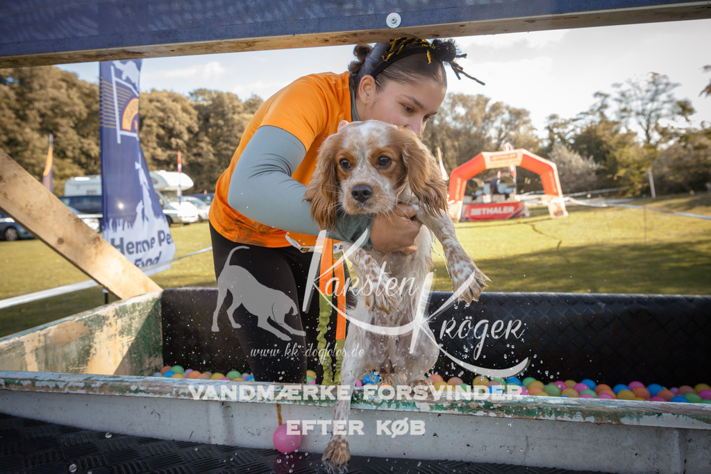 1222_ZZ95904 | kk-dogfotos