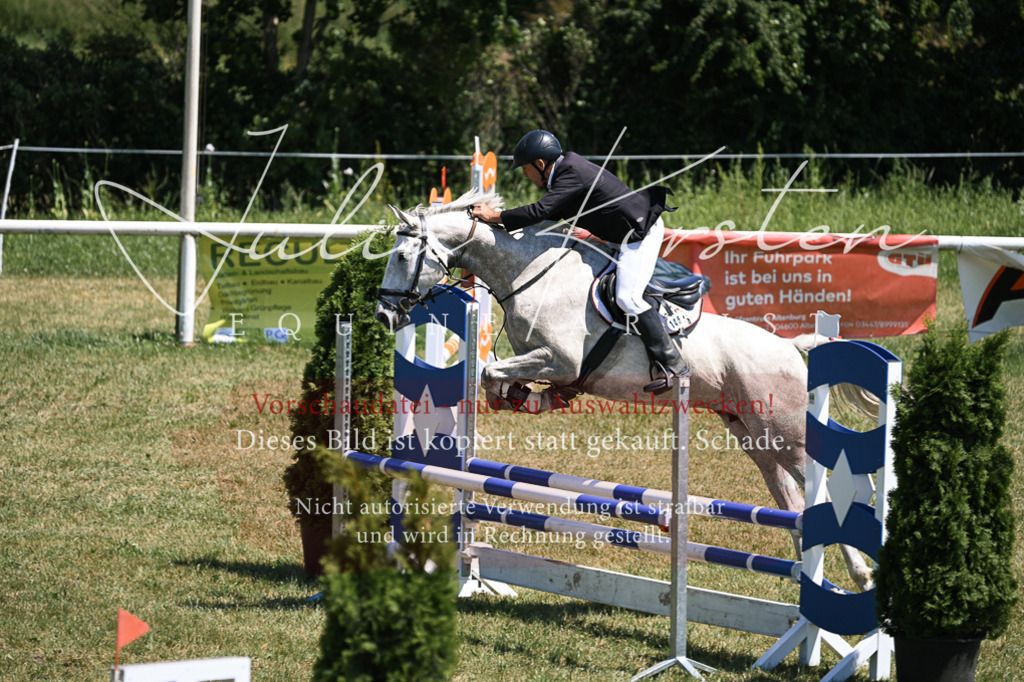 DSC_9995 | Pferde- und Turnierfotografie in Westsachsen. Pferdeportraits, Auftragszeichnungen und intuitive Kunst.